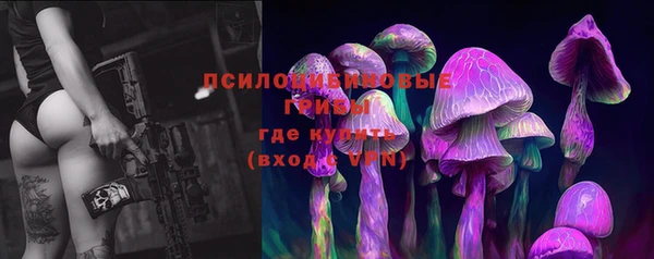 соль ск Сатка