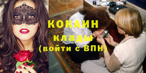 тгк Алексин