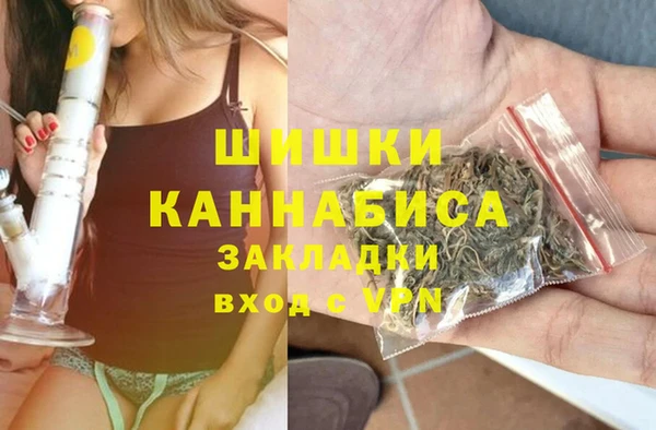 тгк Алексин